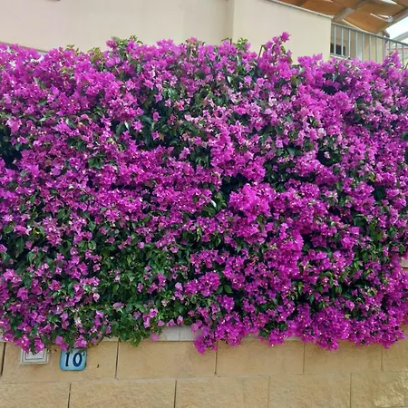 Baia Delle Mimose - Villetta Con Aria Condizionata E Posto Auto Сasa de vacaciones Viddalba